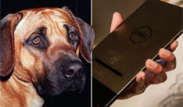 女人与狗交配视频,女人与狗交配视频引发的伦理争议