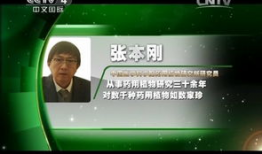 中华医药视频全集,千年传承，揭秘中医药瑰宝